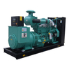 Diesel Generator Set